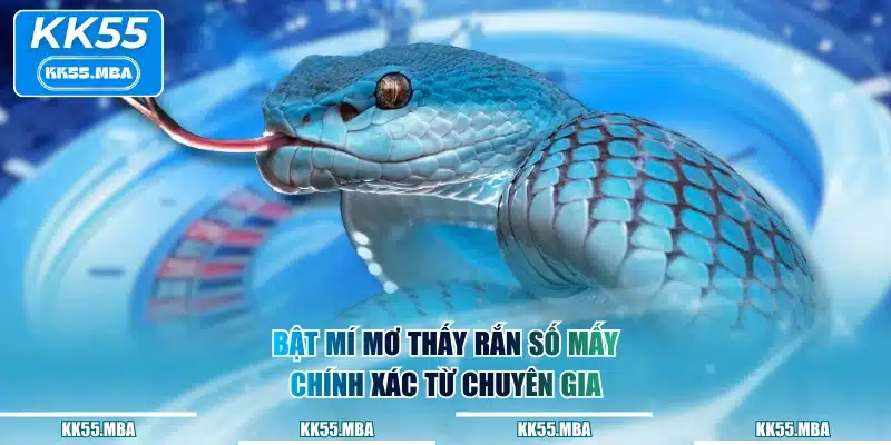Bật mí mơ thấy rắn số mấy chính xác từ chuyên gia