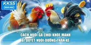 Cách Nuôi Gà Chọi Khỏe Mạnh - Bí Quyết Nuôi Dưỡng Thần Kê